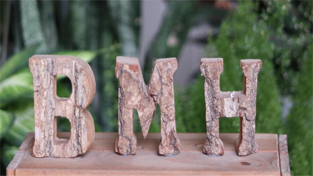 杭州市滨江区白马湖实验幼儿园